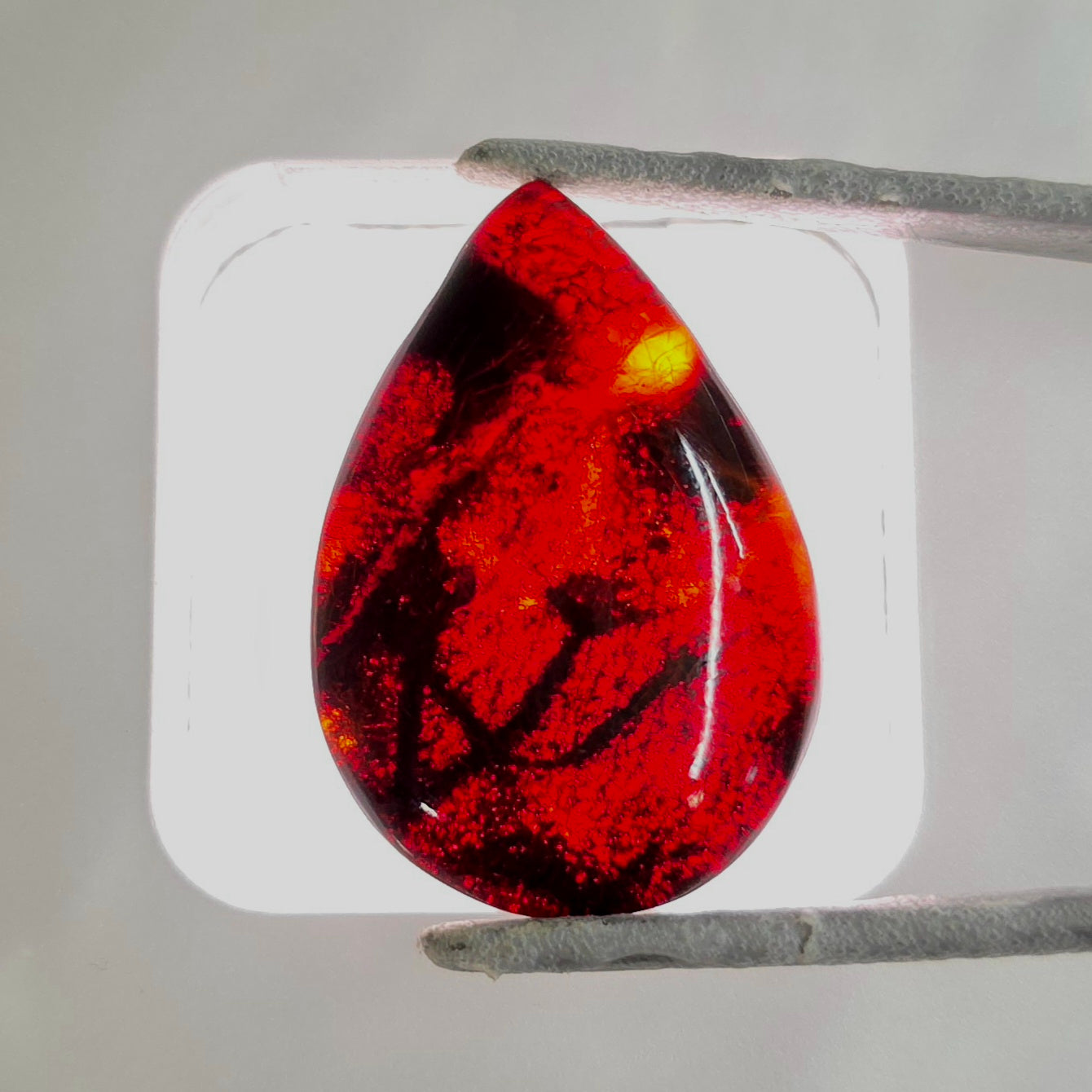 A backlit teardrop-shaped orange gemstone with dark inclusions and a small yellow spot, held horizontally by metal tweezers against a white light box.