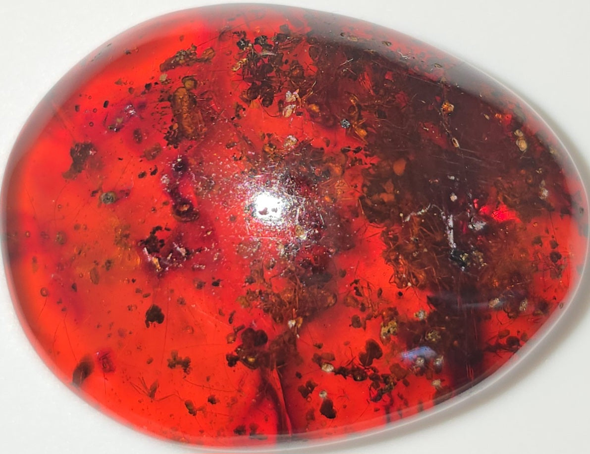 A polished oval cabochon gemstone featuring a vibrant red-orange color with dark brown and black inclusions, set against a plain white background.