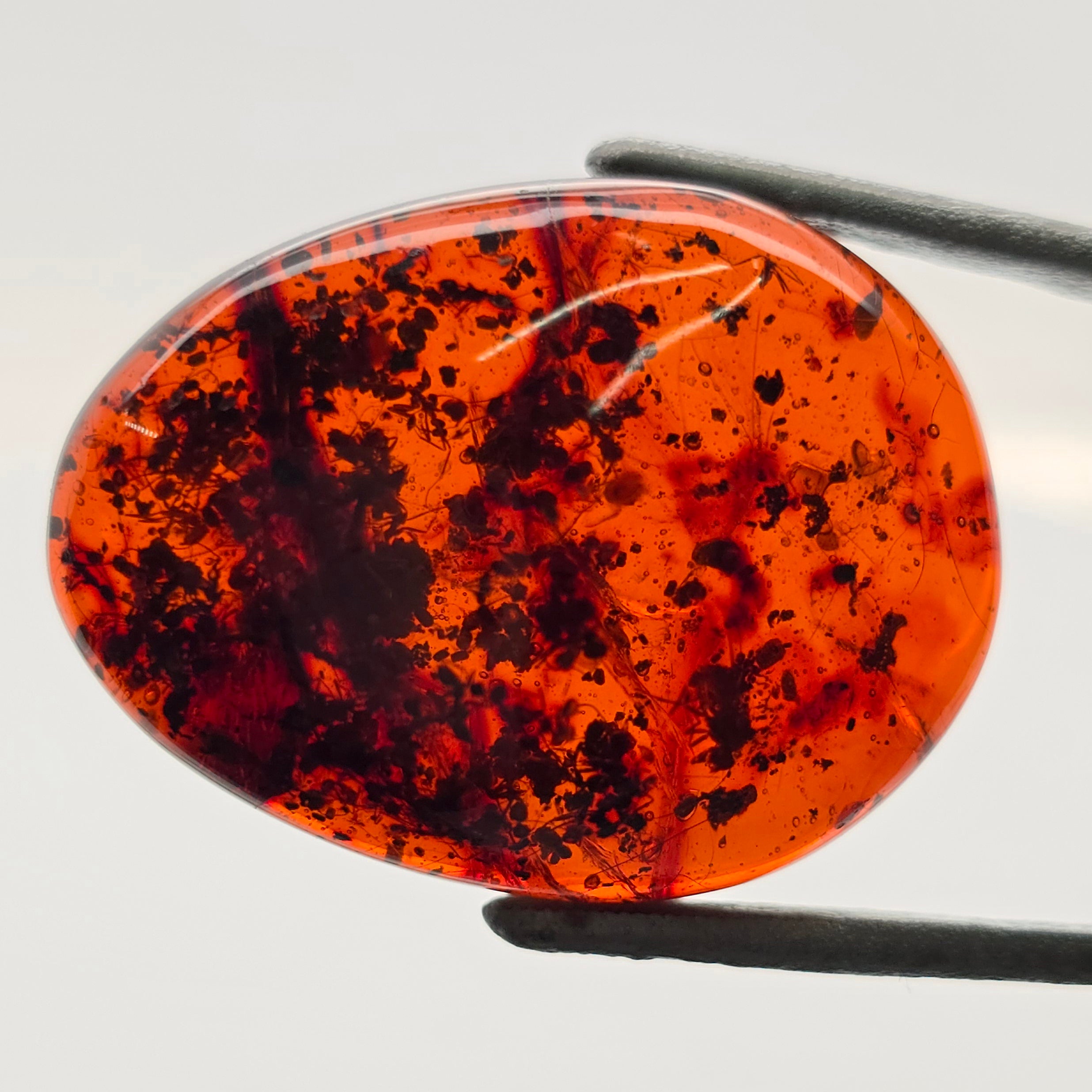 A polished oval cabochon gemstone with a vibrant orange body and dark black inclusions, held by black metal tweezers against a clean white background.