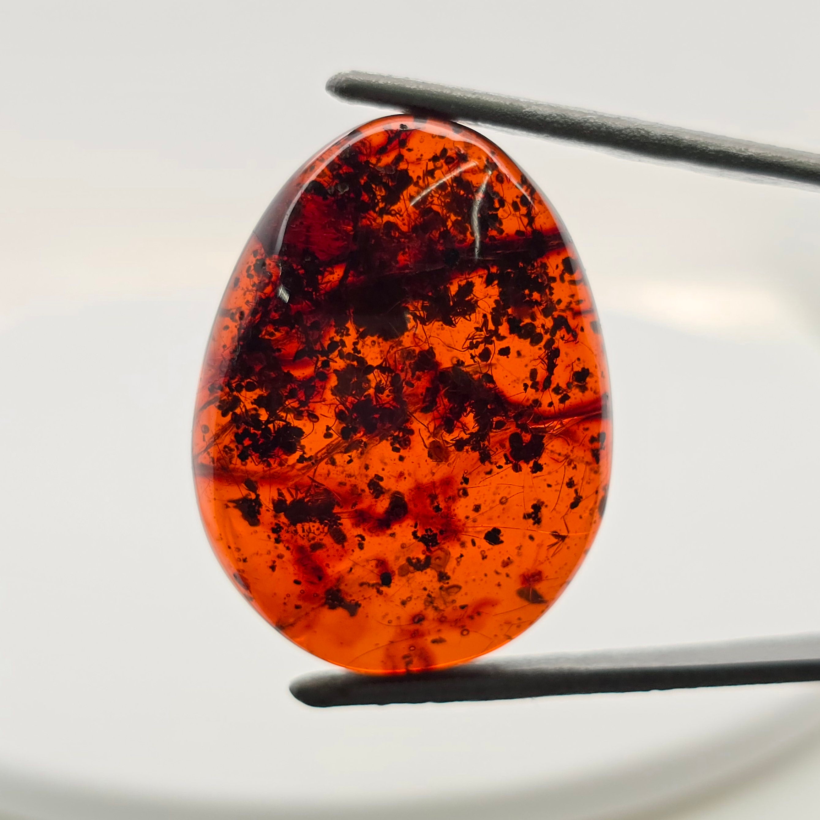A teardrop-shaped cabochon gemstone with a vibrant orange color and dark black inclusions, held in the jaws of metal tweezers against a clean white background.