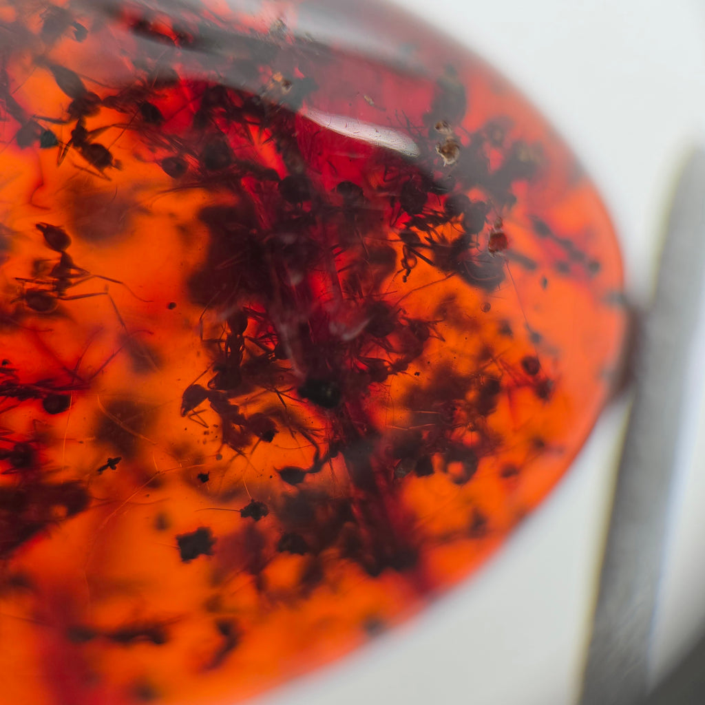 A close-up of a translucent orange cabochon featuring a vibrant orange and red gradient filled with dark, inky black organic inclusions.