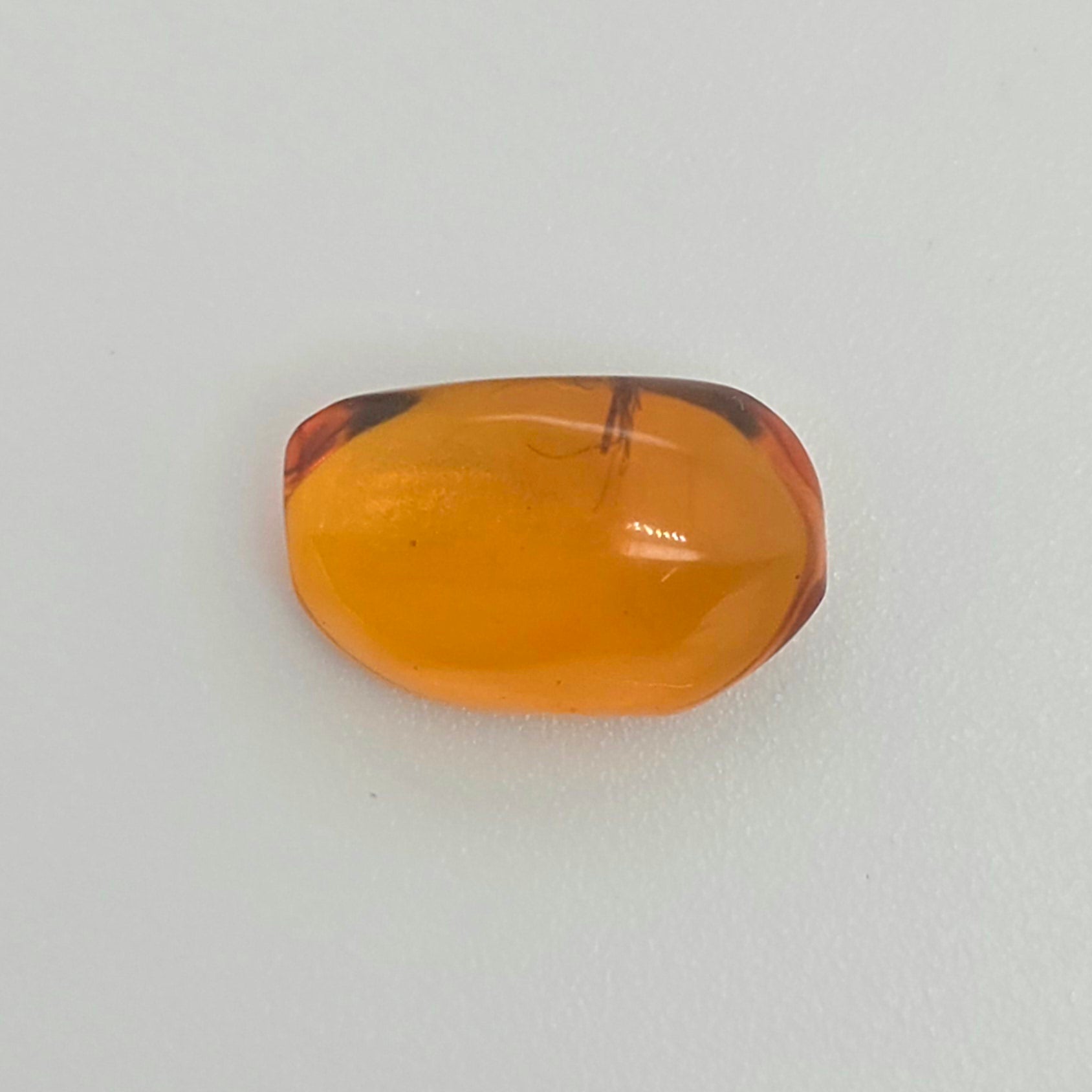 A single polished orange nugget with a smooth, rounded shape, insect inclusion, and subtle reddish-brown edges, displayed on a clean white background.