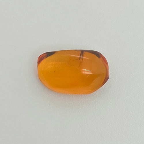A single polished orange nugget with a smooth, rounded shape, insect inclusion, and subtle reddish-brown edges, displayed on a clean white background.