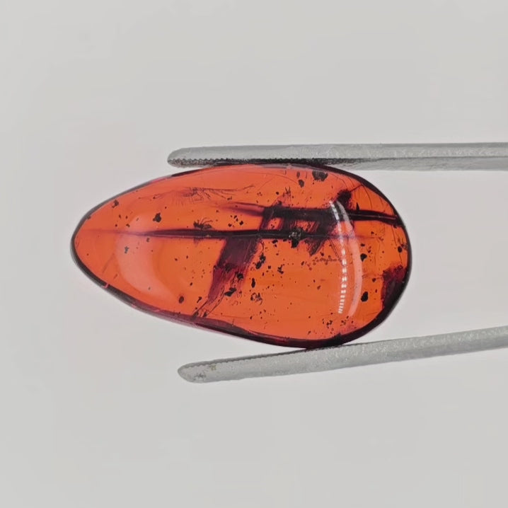 Video of an orange teardrop shaped cabochon gem with multiple dark inclusions in tweezers against a light background