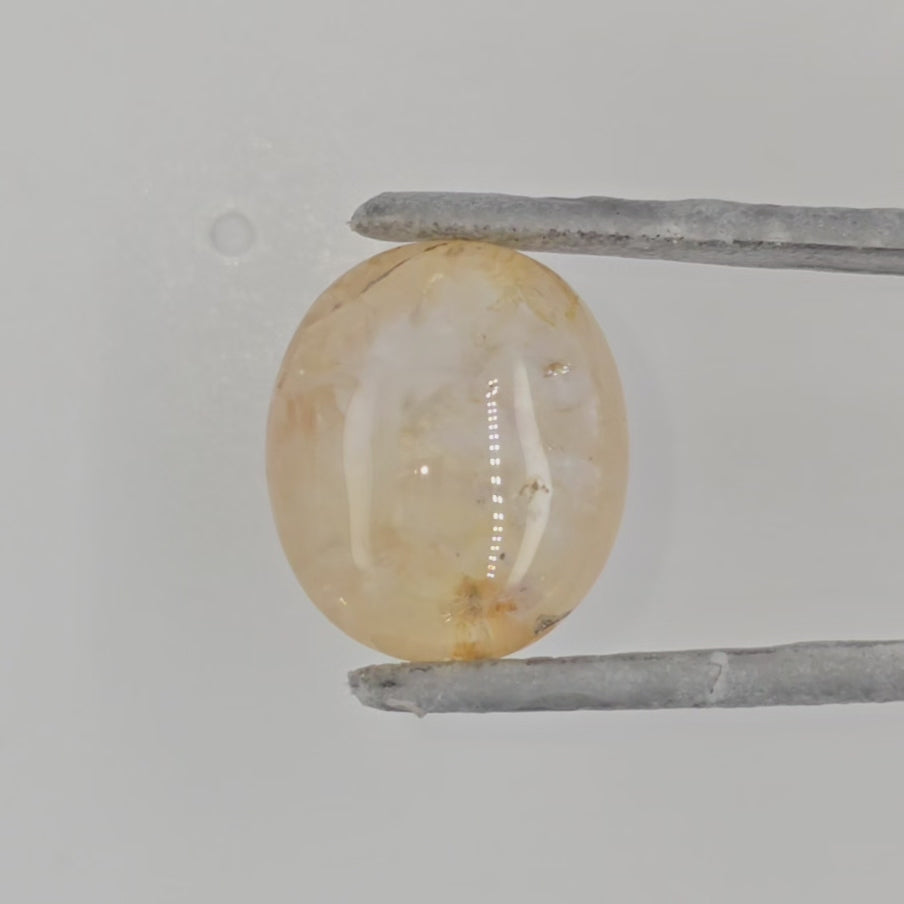 Sapphire oval cabochon video displayed in tweezers against a grey background