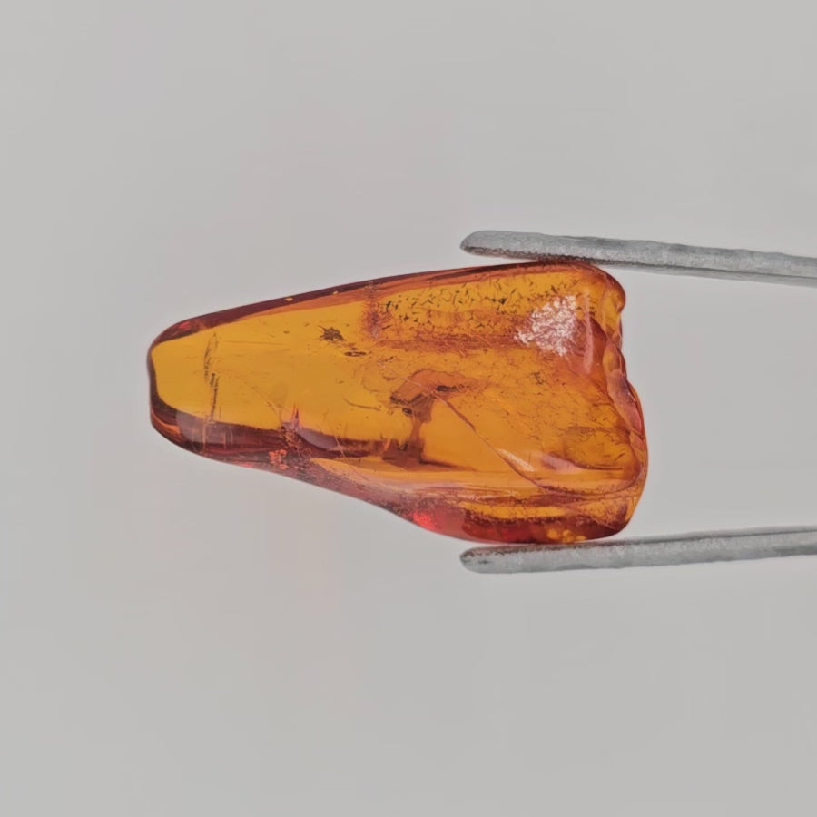 Video of transparent orange freeform amber with natural inclusions in tweezers against a light gray background