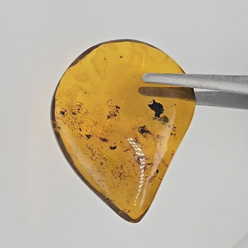 Video of yellow amber teardrop cab with natural inclusions in tweezers against a white background