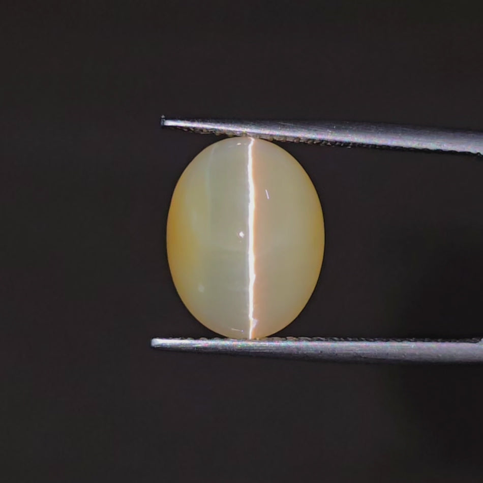 Video of oval cabochon gemstone with white cat's eye being shown in tweezers